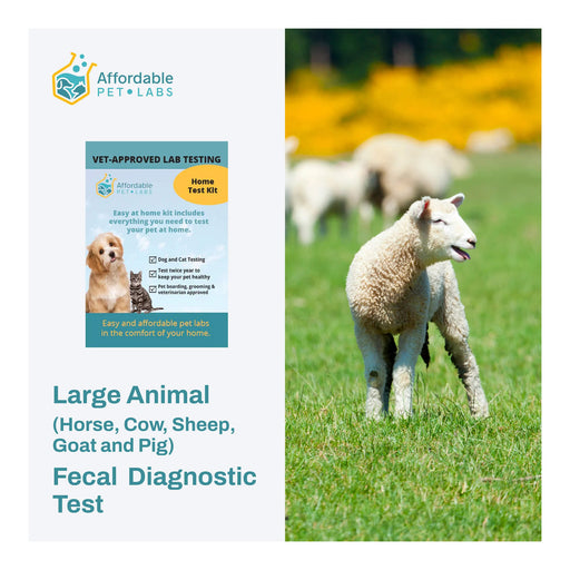 Affordable Pet Labs Large Animal (Horse, Cow, Sheep, Goat and Pig) Fecal Diagnostic Test, Easy Home Kit - AF21K - 1