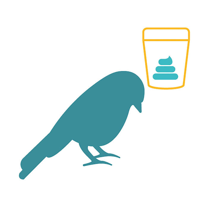 Affordable Pet Labs - Reptile, Amphibian & Bird Fecal Diagnostic Test, Easy Home Kit - AF21R - Kit - 4