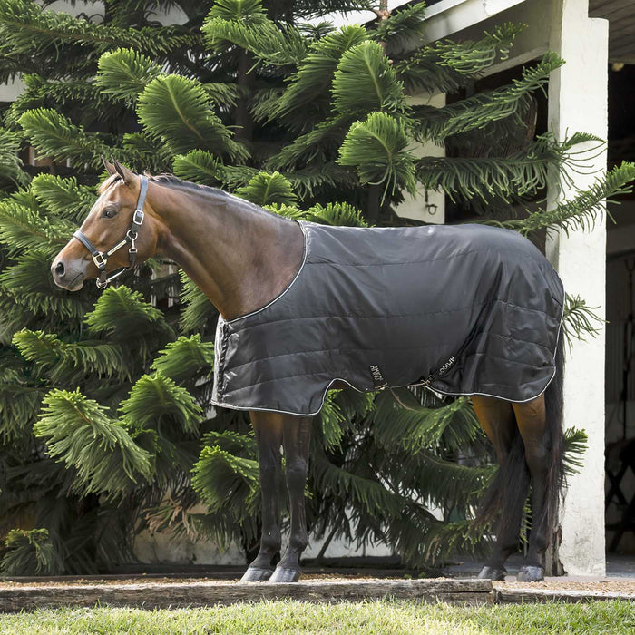 Amigo Quarter Horse Stable Blanket 210D Ripstop, 100g or 200g Fill, Stocky Build Fit - FOXBP - Black - 68" - 100 Gram - 1
