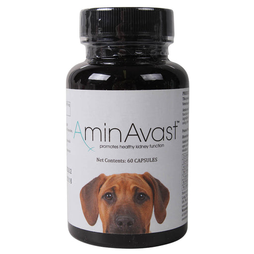 AminAvast Canine (formally called Renavast) - LVS38 - 1000 mg - 60 Capsules - 1
