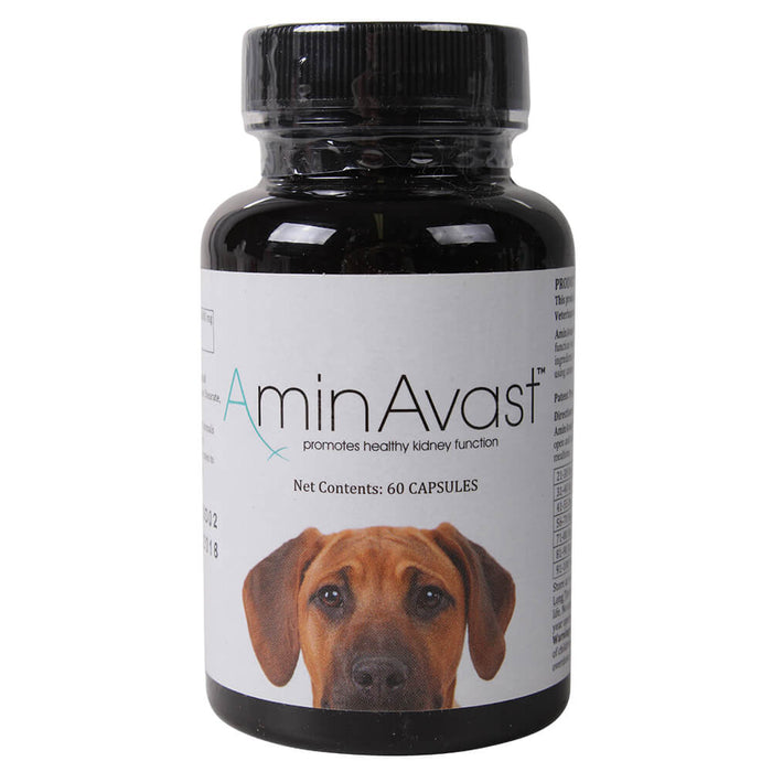 AminAvast Canine (formally called Renavast) - LVS38 - 1000 mg - 60 Capsules - 1