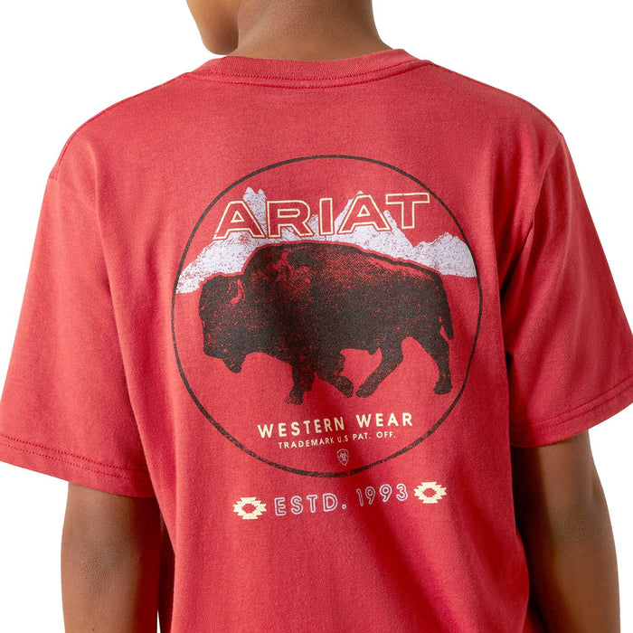 Ariat Boys Short Sleeve Tee - AI8MR - Patriot Buffalo Coin - Red Brick - XSmall - 4