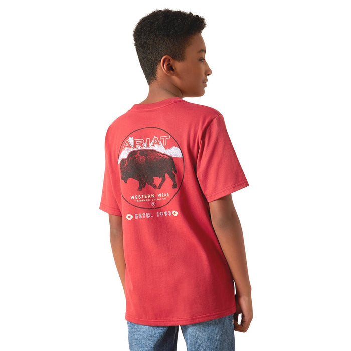 Ariat Boys Short Sleeve Tee - AI8MR - Patriot Buffalo Coin - Red Brick - XSmall - 2
