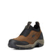 Ariat Women's Terrain Ease Waterproof - AI5F1 - Oily Distressed Brown - 5.5 B - 1