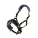 Arma Fleece Lined Lunge Cavesson – Adjustable Nylon Training Cavesson for Horses - SEP26V - Full - Black - 1