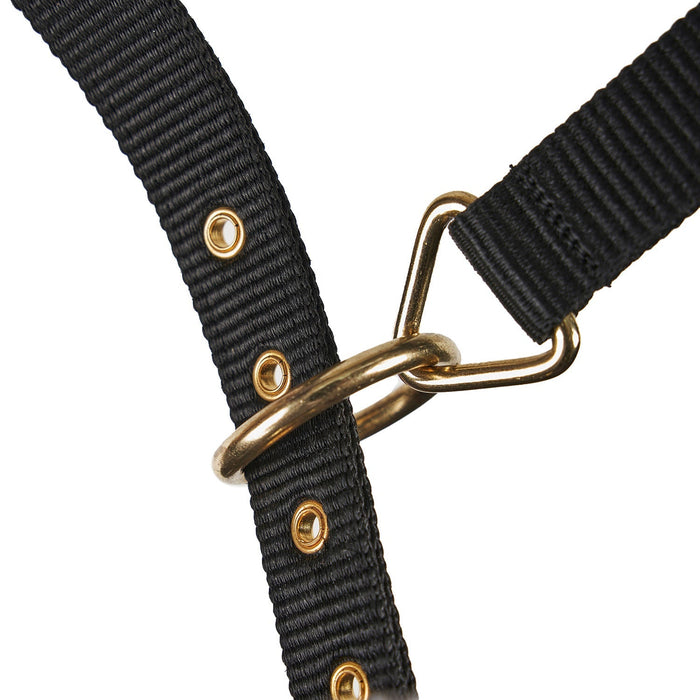 Arma Fleece Lined Lunge Cavesson – Adjustable Nylon Training Cavesson for Horses - SEP26V - Full - Black - 3