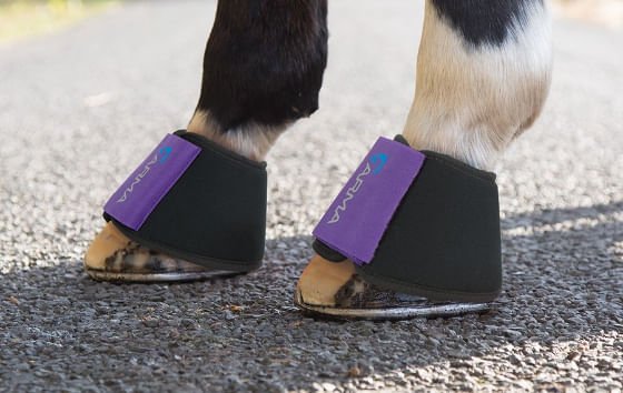Arma Neoprene Overreach Bell Boots for Horses - SEPOV - Black - Cob - 2
