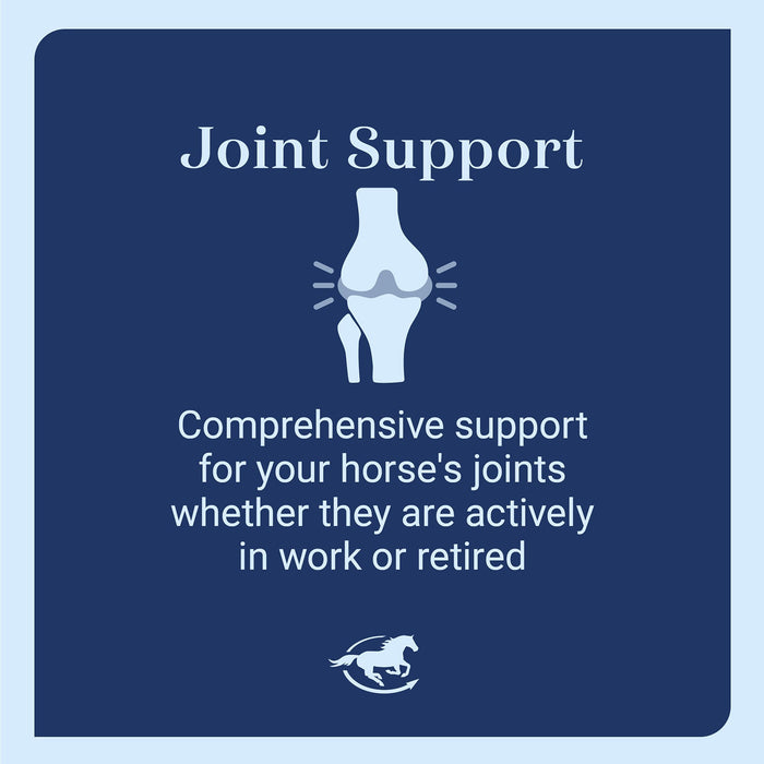 Arthroxigen Joint Support For Horses, Powder - SMACP - 6.7 lb - 4