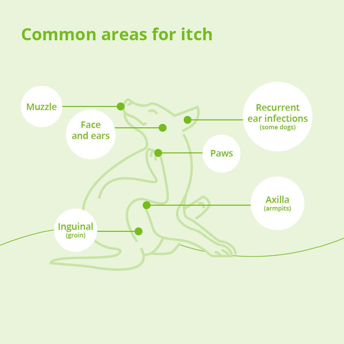 Atopivet Skin Care Collar with Sphingolipid for Dogs & Cats - 004DP-LGCOL - 29"L - Over 22 lbs - 4