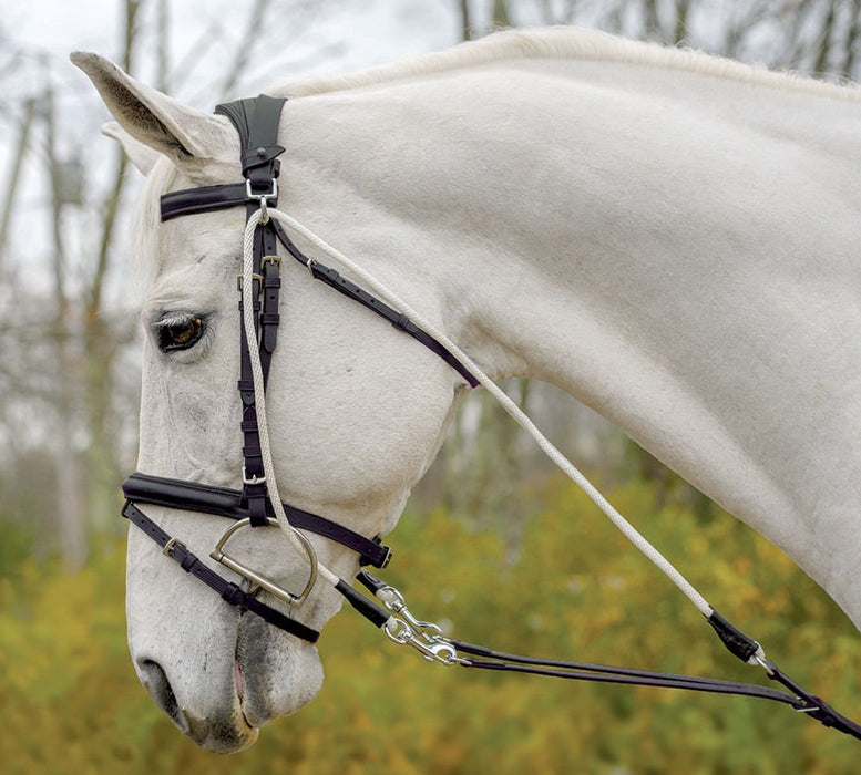 Avignon De Gogue Training Aid - SEP1RA - Black - 1