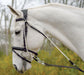 Avignon De Gogue Training Aid - SEP1RA - Black - 1