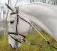 Avignon De Gogue Training Aid - SEP1RB - Havana - 2