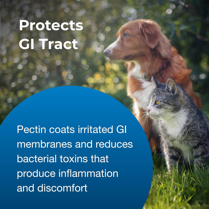 PetAg PET Pectillin, 4 oz – Diarrhea Relief for Cats and Dogs with Pectin & Kaolin