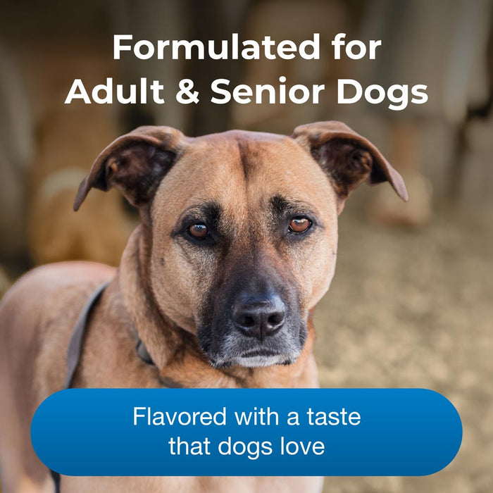 PetAg Esbilac Healthy Aging Powder for Adult and Senior Dogs 14 oz Size 14 oz