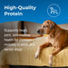 PetAg Esbilac Healthy Aging Powder for Adult and Senior Dogs 14 oz Size 14 oz