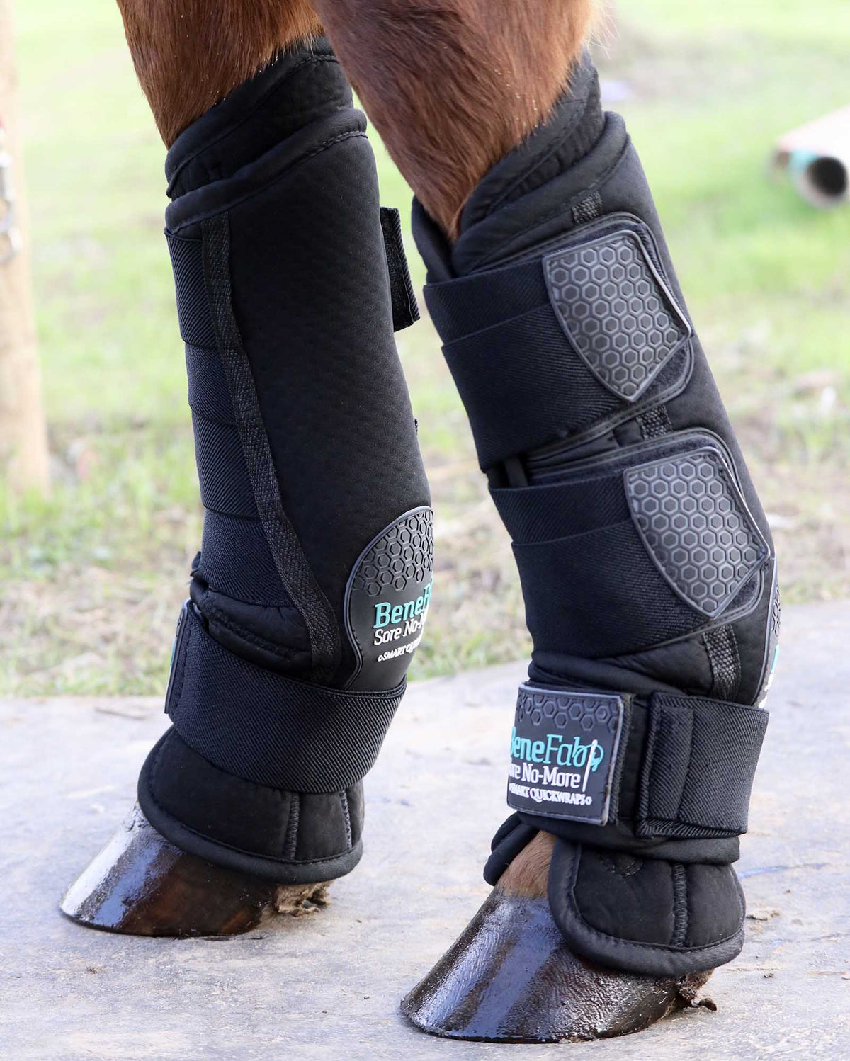 BeneFab Therapeutic Smart QuickWraps, One Size, Black — Pet Supplies 4 Less