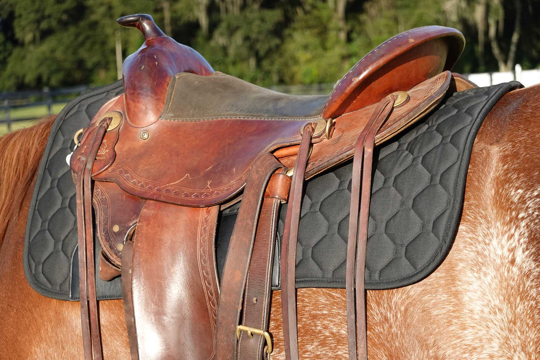 BeneFab Therapeutic Western Saddle Pad, One Size, Black - HHO15 - 2