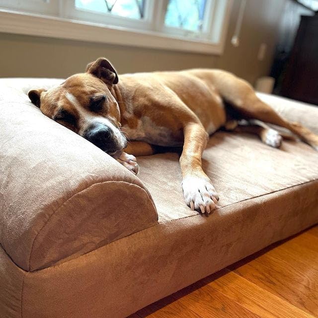 Big Barker 7" Thick Orthopedic Sofa Dog Bed for Large & Giant Breed Dogs – Vet Recommended, Joint Support, Durable Foam - H7Z3 - Khaki - Large – 48" x 30" x 7" - 1 ct - 23