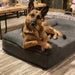 Big Barker 7" Thick Orthopedic Sofa Dog Bed for Large & Giant Breed Dogs – Vet Recommended, Joint Support, Durable Foam - H7Z5 - Charcoal - XLarge – 52" x 36" x 7" - 1 ct - 29