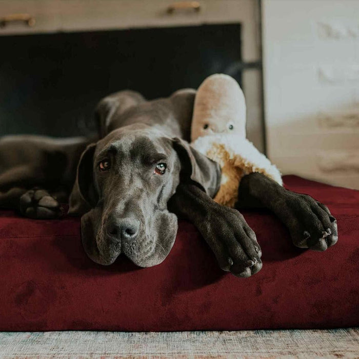 Big Barker Original Sleek Dog Bed, 7" Thick – Orthopedic Foam for Large & Giant Dogs - Jeffers - Dog Supplies > Dog Beds
