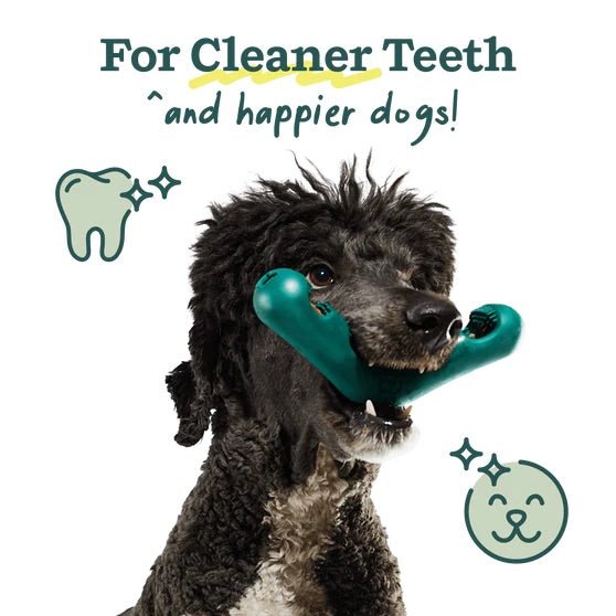 Bite n’ Brush Dog Dental Chew Toy & Treat Refills– Self - Cleaning, Teeth & Gum Care, Plaque & Tartar Remover - WO2AR - Brush - Small - 4