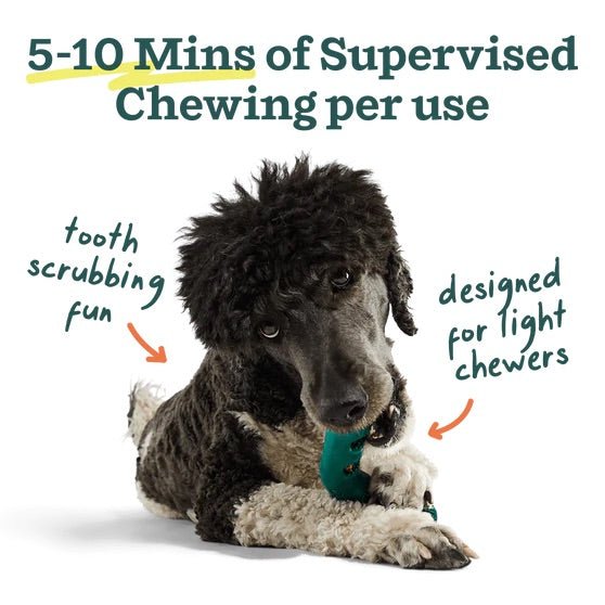 Bite n’ Brush Dog Dental Chew Toy & Treat Refills– Self - Cleaning, Teeth & Gum Care, Plaque & Tartar Remover - WO2AT - Refill Treats - 8 oz (approx. 16 sticks) - 12