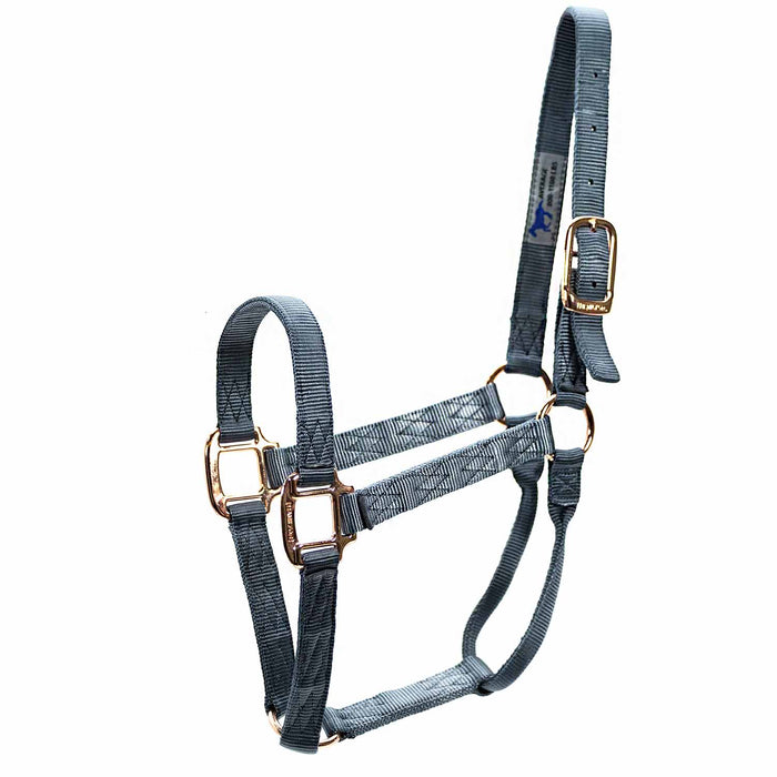 Average Horse Halter Black/White Color BLACK/WHITE
