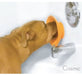 Boredom Busterz Bath Buddy - Suction Cup Pet Bathing Assistant Tool - ULPBN - 2