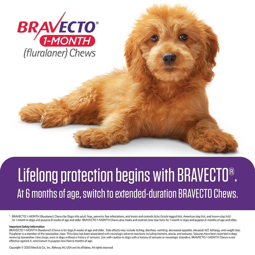 Rx Bravecto Chews for Dogs, 1 Month Flea & Tick Control — Pet Supplies ...