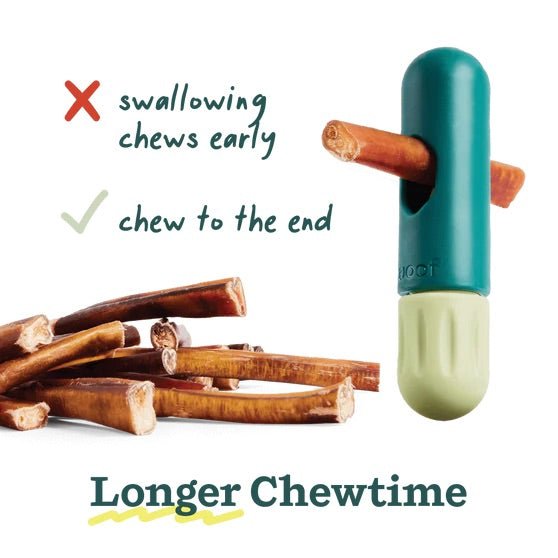 BullySafe Bully Stick & Chew Holder – Safe, Durable Chew Toy for Dogs - WO2AJ - Green - One Size - 1 ct - 5