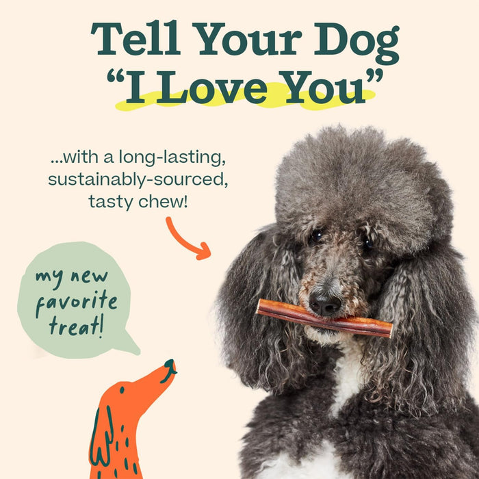 BullySafe Bully Sticks– Odor - Free, Long - Lasting Dog Chews | Grass - Fed, Free - Range, Single - Ingredient Beef Pizzle Treats - WO2BV - Beef - 12"L - 5 pack - 11