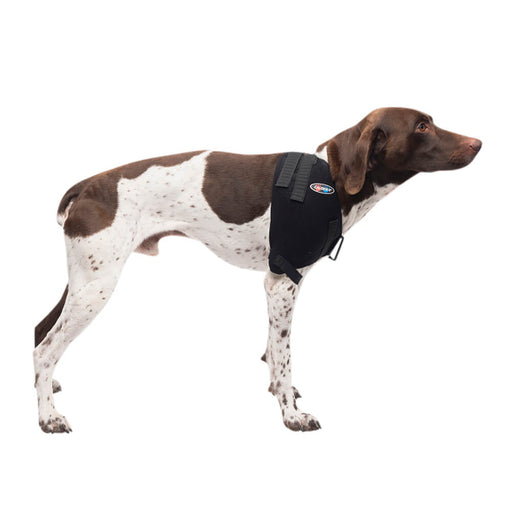 Caldera Pet Therapy Shoulder Wrap with Therapy Gel - 014CAL-15001 - Medium - 2