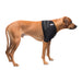 Caldera Pet Therapy Shoulder Wrap with Therapy Gel - 014CAL-16001 - Large - 3