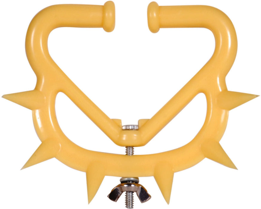Calf Nose Weaner - C6C1 - 1