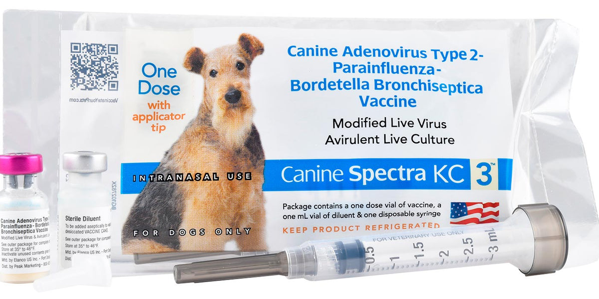 Canine Spectra KC 3 Intranasal Dog Vaccine, Single Dose — Pet