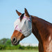 Cashel Crusader Fly Mask for Horses with Forelock Hole and UV Sun Block - QL1G5 - Splash - Weanling - 5