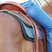 Cashel ¼" Felt Saddle Pad Liner (32" x 32") - QLF1 - 2