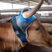 Cattle Clear Vision Cool Wrap Horn Wrap for Roping - CR1XS - Grey/Blue - 6