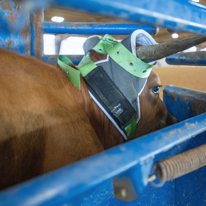 Cattle Clear Vision Cool Wrap Horn Wrap for Roping - CR1XT - Grey/Green - 8