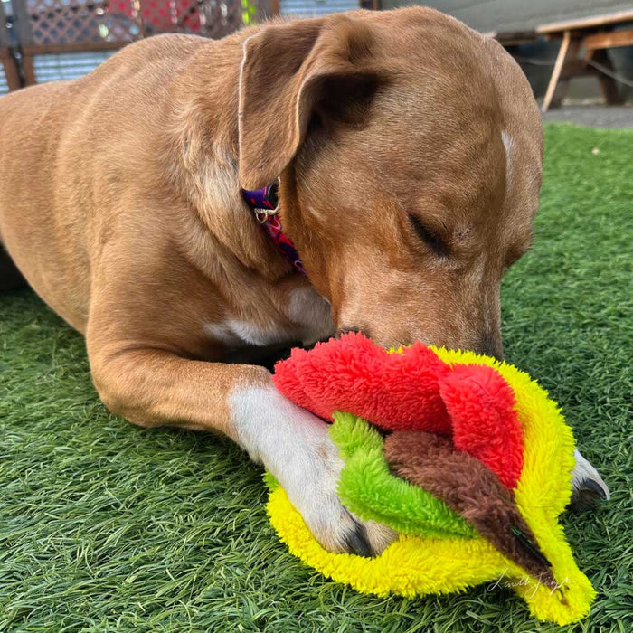 Duraplush - Taco - Medium Size Medium