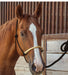 Classic Equine Braided Rawhide Nylon Rope Halter - CR91 - Turquoise/Gold - 26