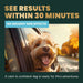 Composure, 60 Bite Sized Chews - 015VS-900780-60 - chicken liver flavor - 60 ct chews - 8