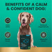 Composure, 60 Bite Sized Chews - 015VS-900780-60 - chicken liver flavor - 60 ct chews - 5