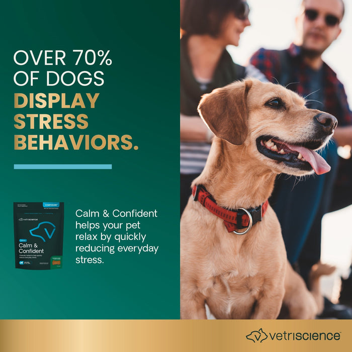 Composure, 60 Bite Sized Chews - 015VS-900780-60 - chicken liver flavor - 60 ct chews - 9
