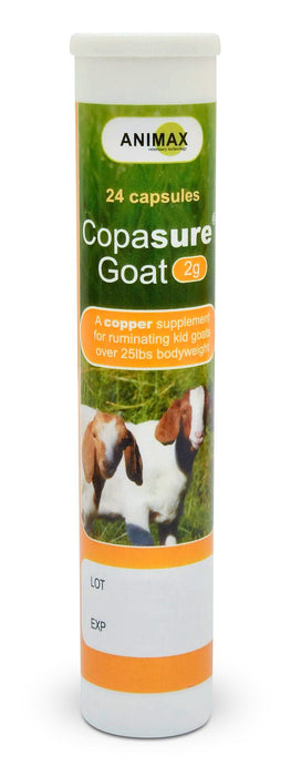 DUPLICATE - MGCA - Copasure Bolus for Kids, 2g (24 Capsules) - MGCA-DUPE - 3