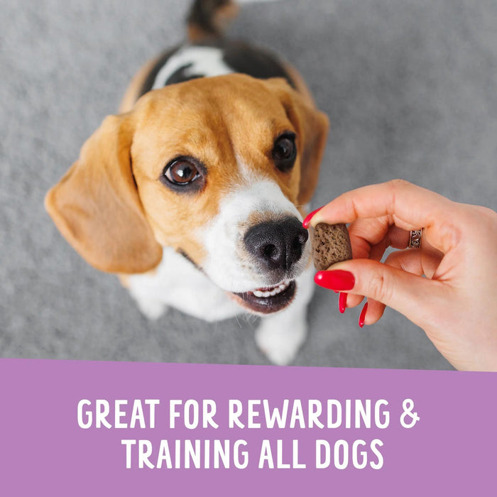 Crunchy Munchie Natural Treats for Dogs, 5 oz - HE2A3 - 5 oz - Blueberry Ruffin - 6