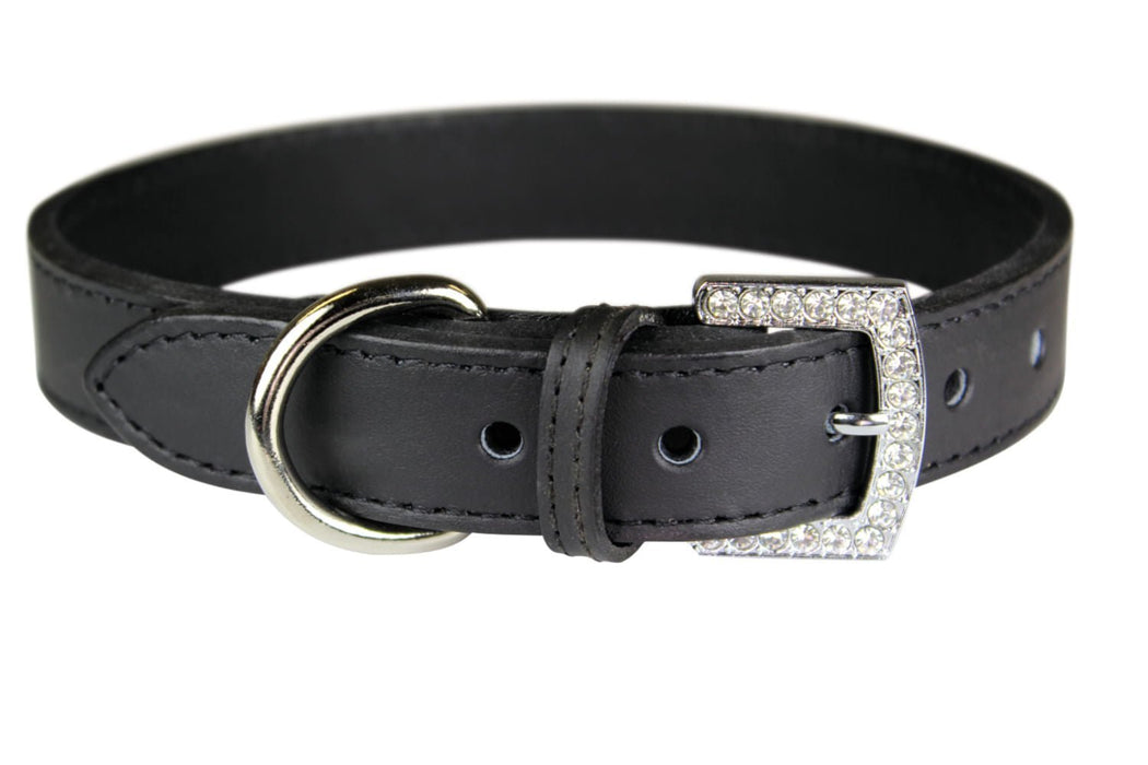 Crystal Buckle Made in USA Leather Dog Collar - LY3B - Black - 1