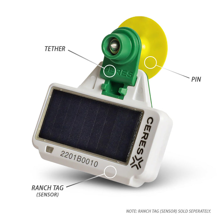 CERES RANCH Pins and Tethers (50)  