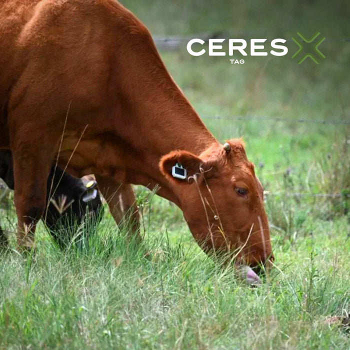 CERES RANCH PFI (10)  