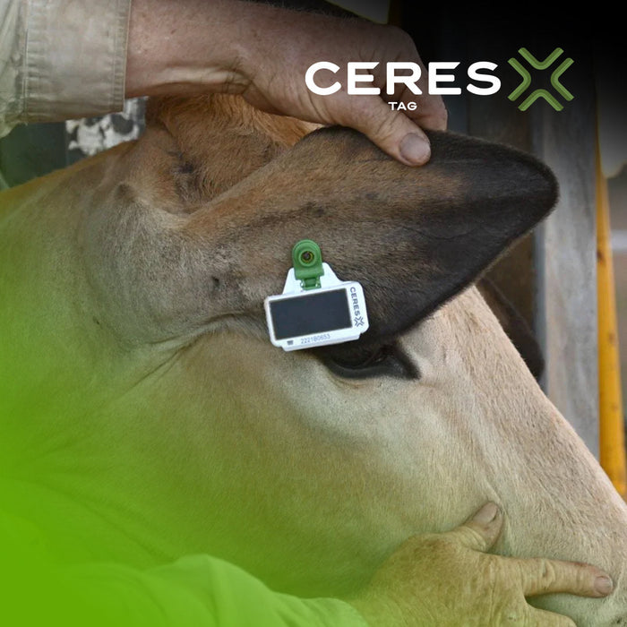 CERES RANCH PFI (10)  